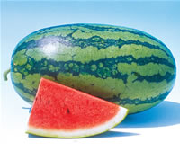 Oklahoma's favorite veggie: the watermelon